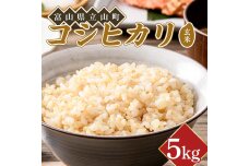 令和８年度米【コシヒカリ 玄米 5kg】横山ファーム 米 富山県立山町産 F6T-1109
