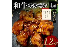 和牛ホルモン4種旨タレ（牛ミノ、牛シマチョウ、牛赤センマイ、牛ハツモト）1,200g F6T-563