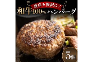 食卓を贅沢に！和牛100％ハンバーグ 5個 牛肉 100％ フライパン 焼くだけ F6T-600