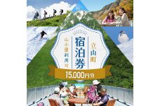 立山町 宿泊施設 宿泊券 15,000円分 (寄附額 50,000円) 宿泊チケット F6T-708