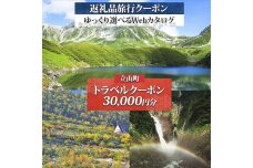 富山県 立山町 旅行クーポン 30,000 円分 キャンプ 体験 登山 観光 旅行 F6T-786