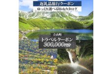 富山県 立山町 旅行クーポン 300,000 円分 キャンプ 体験 登山 観光 旅行 F6T-965