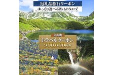 富山県 立山町 旅行クーポン 900,000 円分 キャンプ 体験 登山 観光 旅行 F6T-966