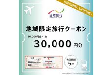 富山県立山町 日本旅行 地域限定旅行クーポン30,000円分 旅 旅行 観光 F6T-755