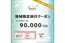富山県立山町 日本旅行 地域限定旅行クーポン90,000円分 旅 旅行 観光 F6T-757