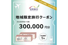 富山県立山町 日本旅行 地域限定旅行クーポン300,000円分 旅 旅行 観光 F6T-759