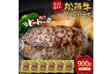 立山産まれ松阪牛 ハンバーグ 150g×6個 カシワファーム 和牛 牛肉 おかず F6T-443