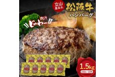 立山産まれ松阪牛 ハンバーグ 150g×10個 カシワファーム 和牛 牛肉 おかず F6T-445