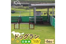 ドッグラン回数券 6回分（6,000円分）体験 ペット 犬 体験チケット チケット F6T-803
