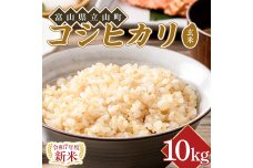 【新米】令和７年度米【コシヒカリ玄米10kg】横山ファーム 富山県 立山町 F6T-805
