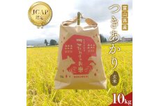 《数量限定》令和7年度産 つきあかり 玄米 10kg 米 お米 新米 富山 立山 F6T-845