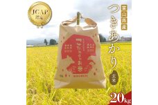 《数量限定》令和7年度産 つきあかり 玄米 20kg 米 お米 新米 富山 立山 F6T-846