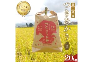 《数量限定》令和7年度産 つきあかり 玄米 20kg 米 お米 新米 富山 立山 F6T-846