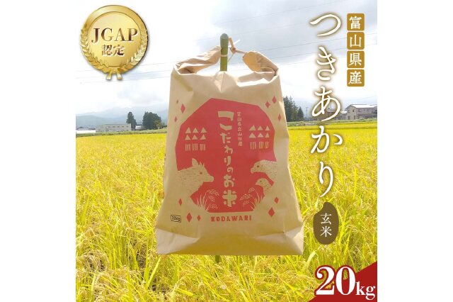 令和３年度産　富山県　立山産　コシヒカリ　精米20kg 楽天市場】新米 富山 立山 コシヒカリの通販