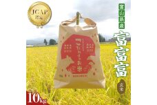 《数量限定》令和7年度産 富富富 玄米 10kg 米 お米 新米 富山 立山 F6T-847