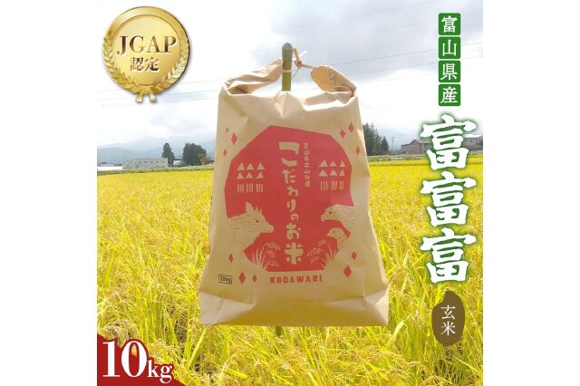 ふるさと納税 「《数量限定》令和7年度産 富富富 玄米 10kg 米