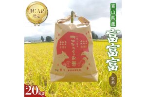 《数量限定》令和7年度産 富富富 玄米 20kg 米 お米 新米 富山 立山 F6T-848