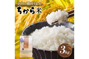 立山のちから米 令和7年産 コシヒカリ 3kg こしひかり 銘柄米 ブランド米 F6T-908