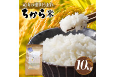 立山のちから米 令和7年産 コシヒカリ 10kg 国産 米 F6T-914
