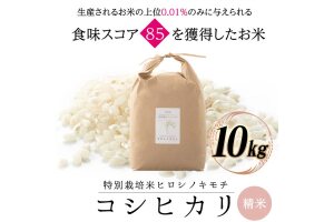 令和8年度　新米 特別栽培米 コシヒカリ ヒロシノキモチ 精米 10kg F6T-1026