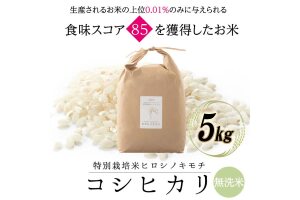 令和8年度　新米 特別栽培米 コシヒカリ ヒロシノキモチ 無洗米 5kg F6T-1027