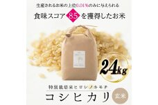令和8年度　新米 特別栽培米 コシヒカリ ヒロシノキモチ 玄米 24kg F6T-1055