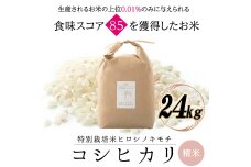 令和8年度　新米 特別栽培米 コシヒカリ ヒロシノキモチ 精米 24kg F6T-1056
