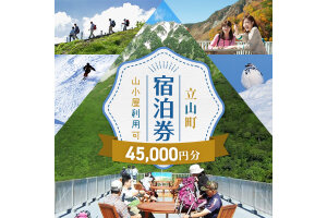 立山町 宿泊施設 宿泊券 45,000円分 宿泊チケット 宿泊 宿 山小屋 山荘 F6T-1071