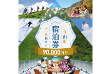 立山町 宿泊施設 宿泊券 90,000円分 宿泊チケット 宿泊 宿 山小屋 山荘 F6T-1074
