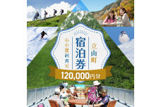 立山町 宿泊施設 宿泊券 120,000円分 宿泊チケット 宿泊 宿 山小屋 山荘 F6T-1075