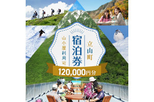 立山町 宿泊施設 宿泊券 120,000円分 宿泊チケット 宿泊 宿 山小屋 山荘 F6T-1075