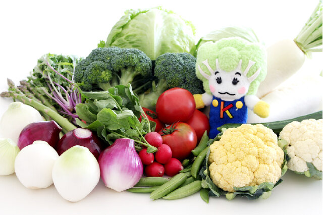 ふるさと納税 「季節の「加賀九谷野菜」詰合せ」 石川県加賀市