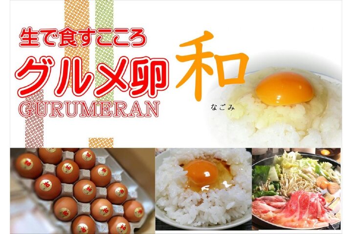 ふるさと納税 卵かけご飯専用卵 グルメ卵 和 30個 愛知県大府市 ふるさと納税の ふるさとぷらす