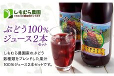 ぶどう１００％ジュース２本セット