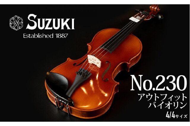 ふるさと納税 「No.230 アウトフィットバイオリン 4/4サイズ」 愛知県大府市 - ふるさと納税の「ふるさとぷらす」