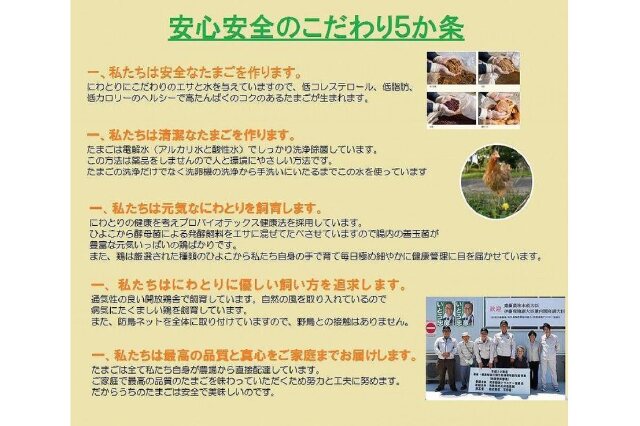 ふるさと納税 「【3か月定期便】日本三大地鶏！！「純系 名古屋