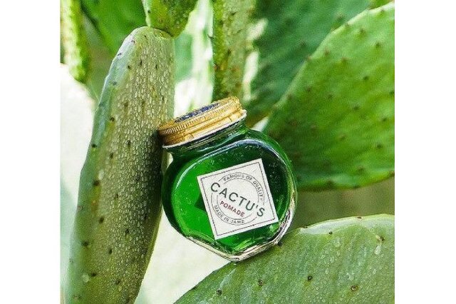 植物由来◇ヴィーガンコスメ♥ガラテアセラム50ml （製品情報