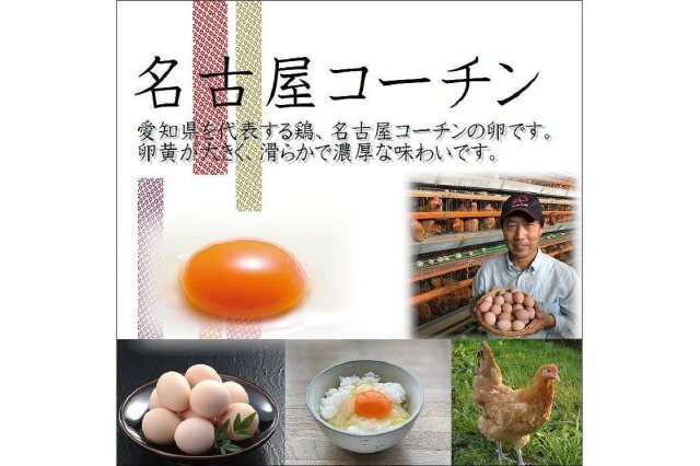 ふるさと納税 「業務用 日本三大地鶏！！「純系 名古屋コーチンの卵