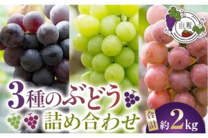 ★お届けは2026年8月から！★３種のぶどう詰め合わせ