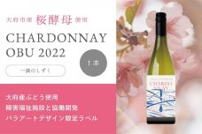 シャルドネOBU2022 パラアーティストデザインボトル 一滴のしずく 750ml×1本