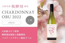シャルドネOBU2022 パラアーティストデザインボトル CIRCLE 750ml×1本