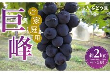 【2026年度_先行予約】【ご家庭用】巨峰（種あり）約2kg〔2026年8月上旬より順次発送〕