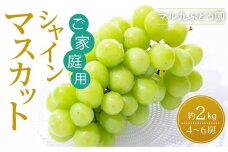 【ご家庭用】シャインマスカット 約2kg