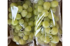 完熟シャインマスカット（通常品） 2kg