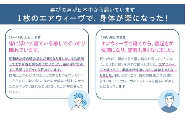 ふるさと納税 「エアウィーヴ スマートプレミアム シングル