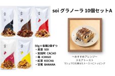 soi グラノーラ １０個 Aセット（素意・加加阿・苺・紅茶・甘蕉 / ５０ｇ 各種２個）