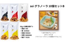 soi グラノーラ １０個 Bセット (素意・苺・林檎・甘蕉・柚子 / ５０ｇ 各種２個 )