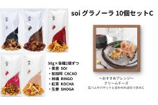 soi グラノーラ １０個 Cセット（素意・加加阿・林檎・紅茶・生姜 / ５０ｇ各種２個）