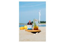 知多コーラ　3本セット クラフトコーラ 愛知県　大府市