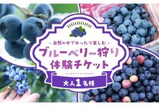 ブルーベリー狩り体験チケット　1名様分